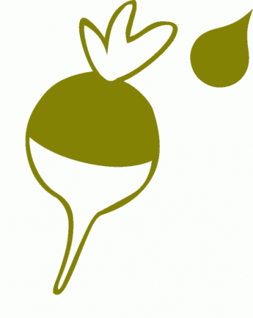 Skye Decision Support Software