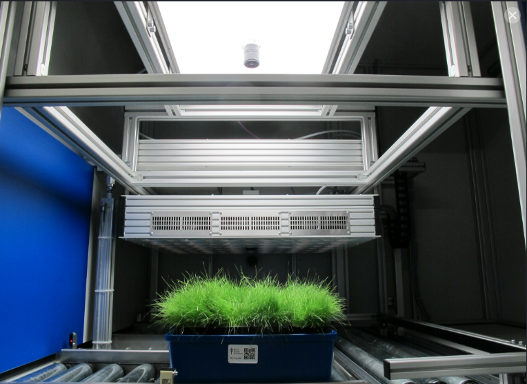 PSI Conveyor and Robotic PlantScreen Systems