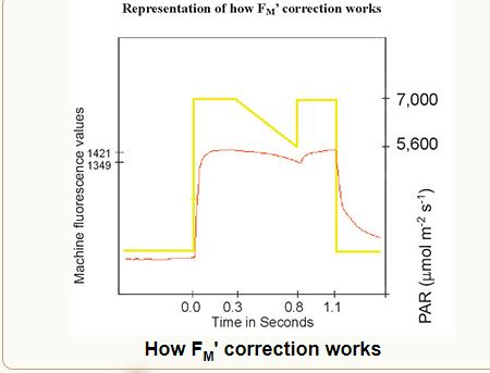 Opti-Sciences OS1p Chlorophyll Fluorometer 