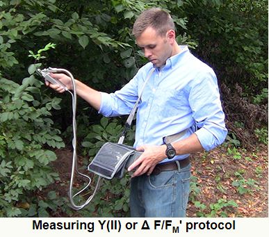 Opti-Sciences OS5p Chlorophyll Fluorometer 