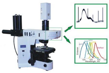 PSI Micro-FluorCam FC 2000