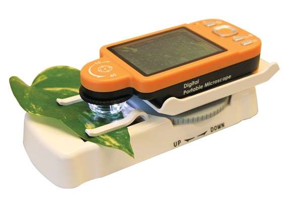 Spectrum IPM Scope CAM2