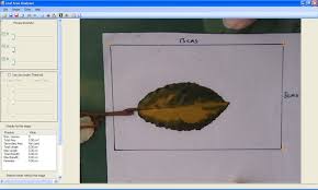 Skye Leaf Area/Root Length Systems