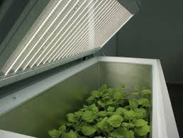 PSI FytoScope Chambers FS 360