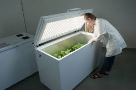 PSI FytoScope Chambers FS 360