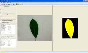 Skye Leaf Area/Root Length Systems