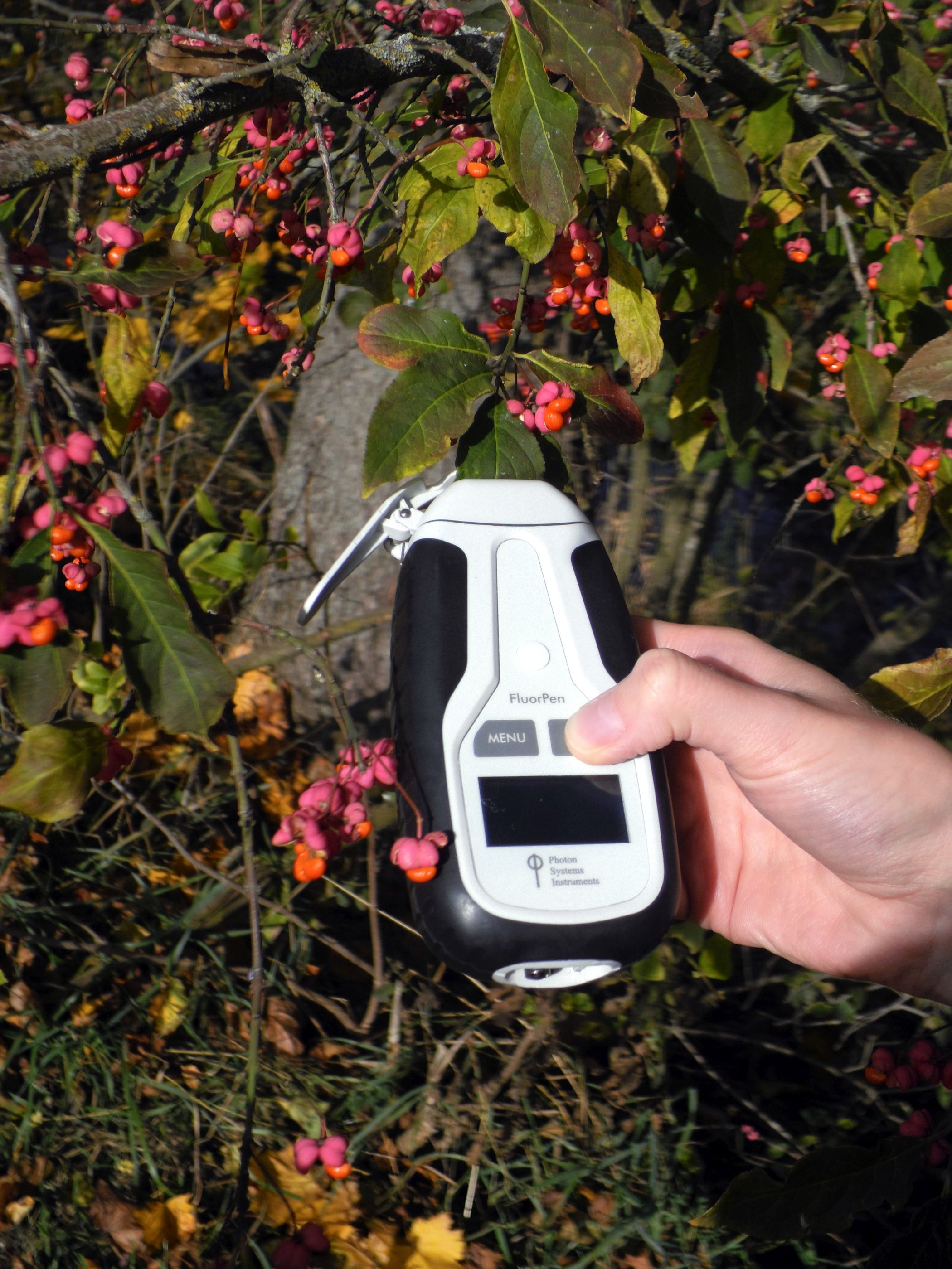 PSI PAR-FluorPen FP 110-MAX-LM