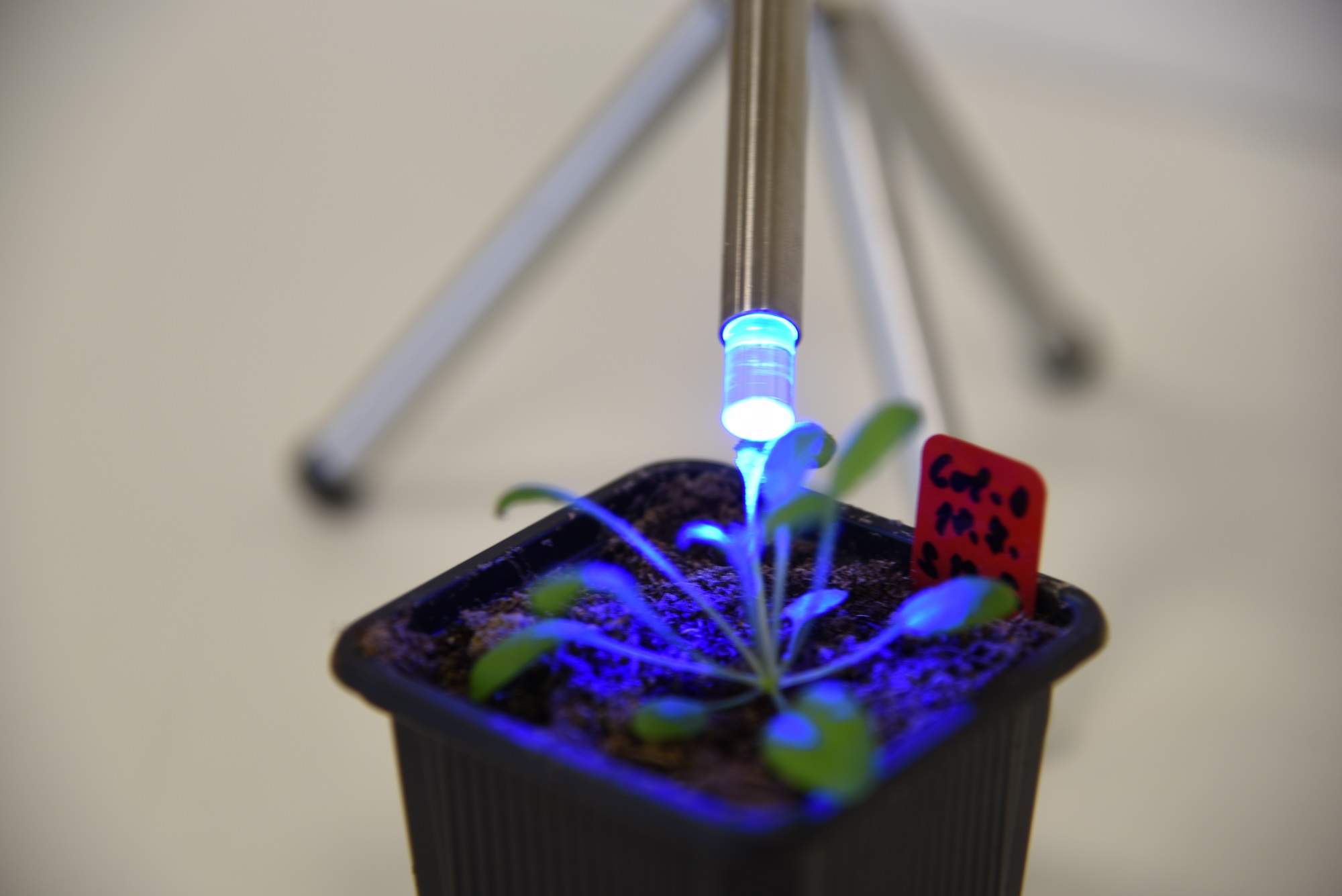 PSI PAR-FluorPen FP 110-MAX-LM