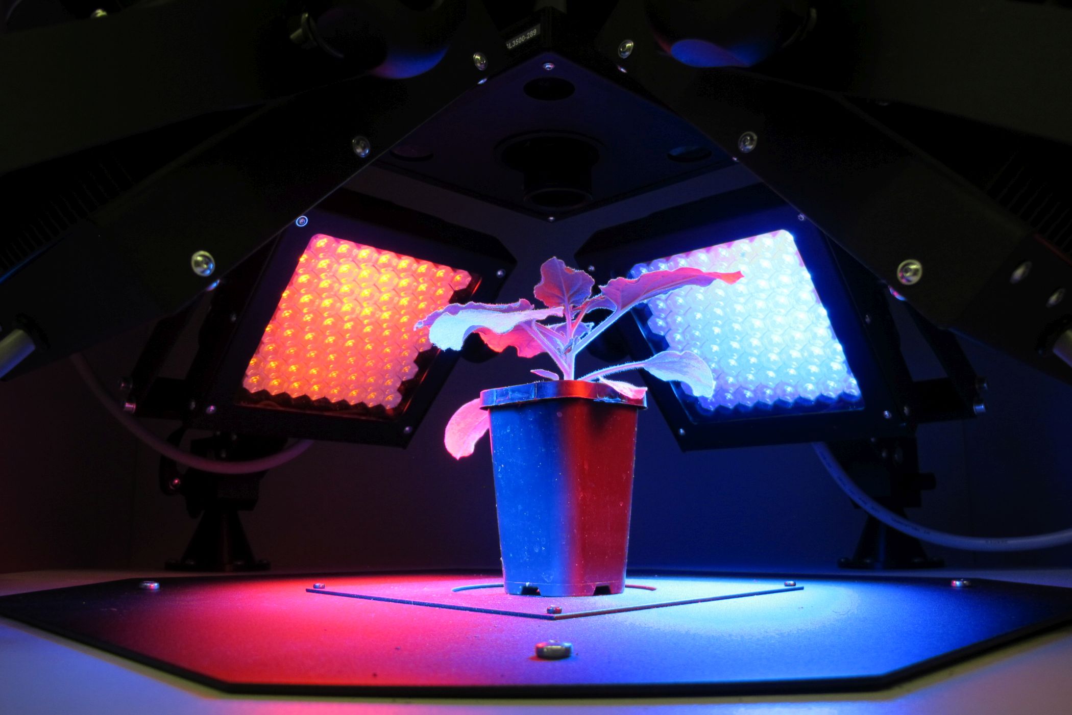 PSI Open FluorCam FC 800-O/1010 and FC 800-O/2020