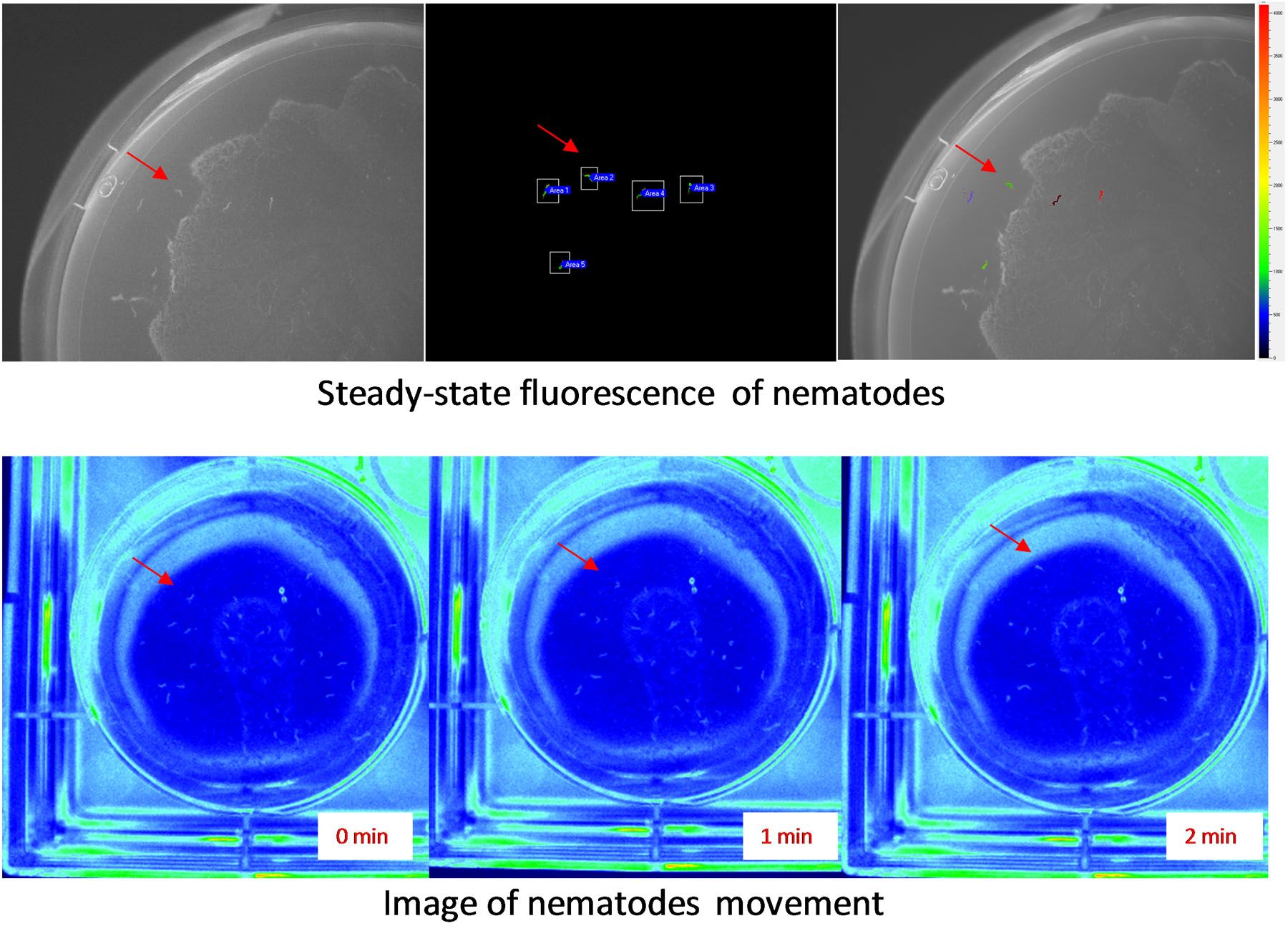 PSI Open FluorCam FC 800-O/1010 and FC 800-O/2020
