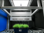 PSI Conveyor and Robotic PlantScreen Systems