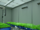 PSI Conveyor and Robotic PlantScreen Systems